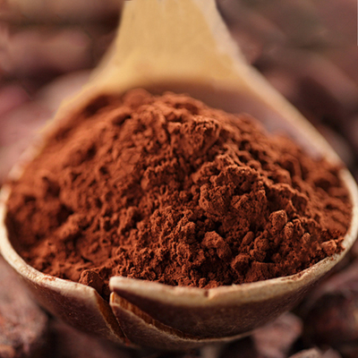 100% Pure Raw Cocoa Powder Cocoa Beans Extract Powder