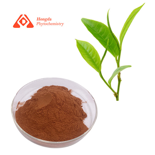 98% Polyphenols Anti Oxidant Ingredients Pure Green Tea Extract Powder