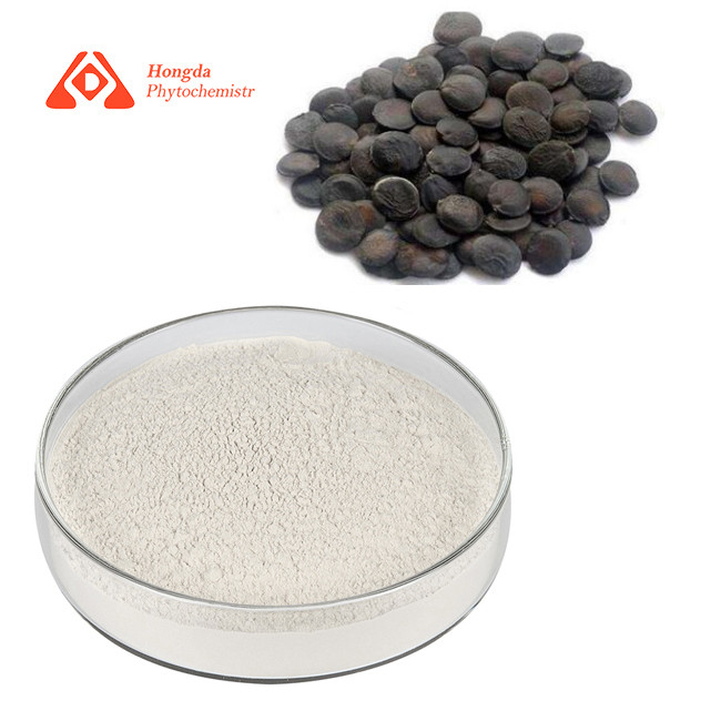 HPLC Food Grade Griffonia Seed Extract Powder 98% 5-HTP